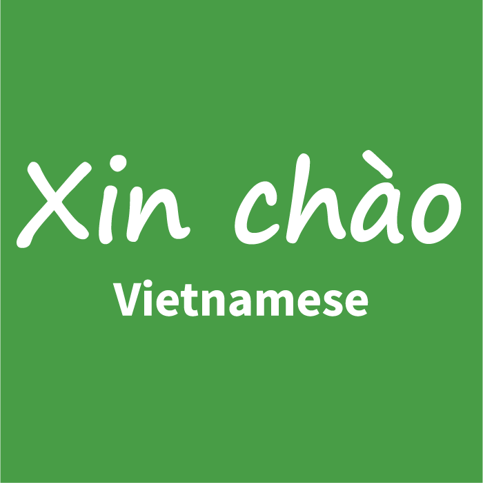 language-icon-vietnamese.png