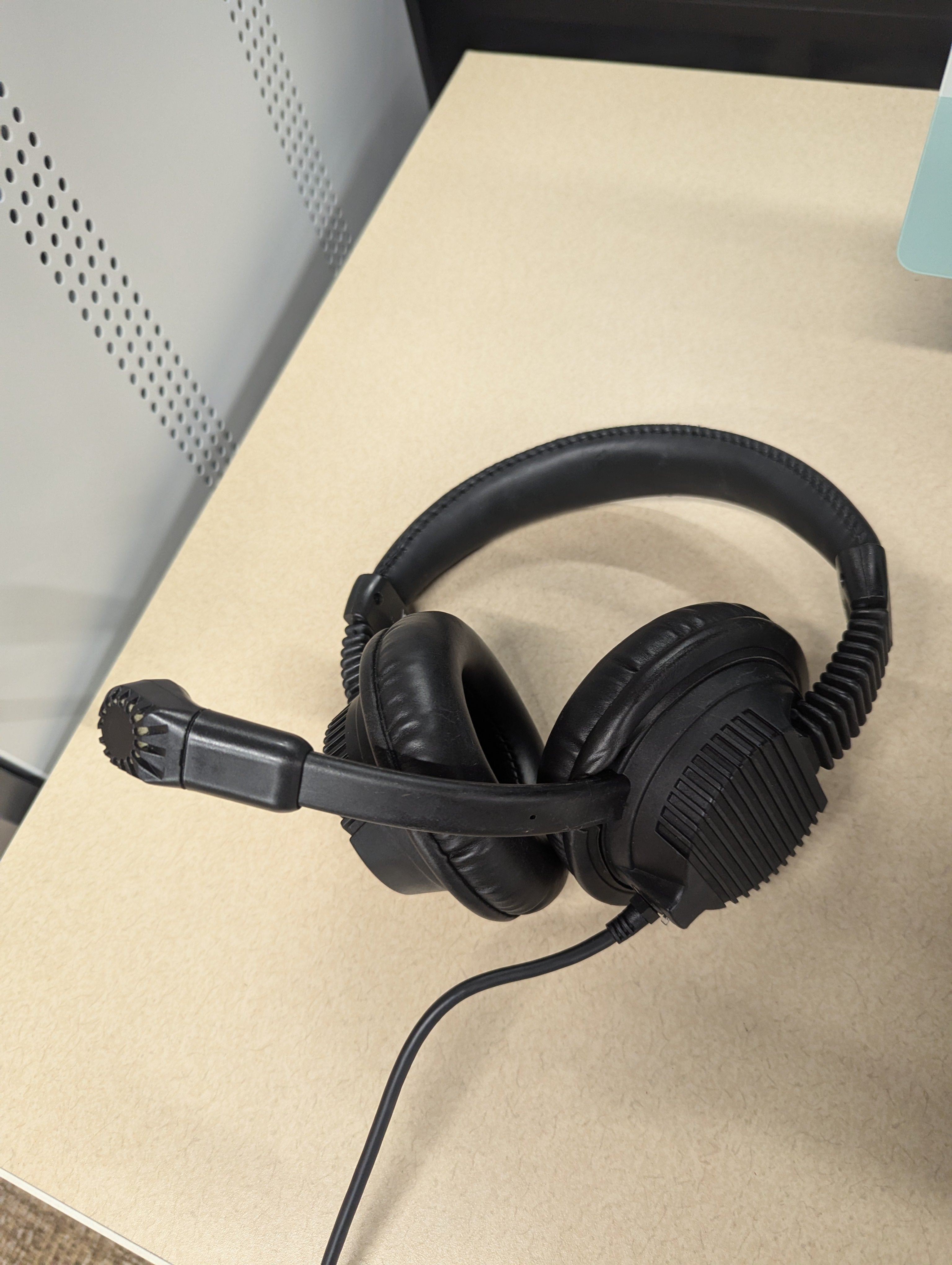 YLC_Headphones.jpg