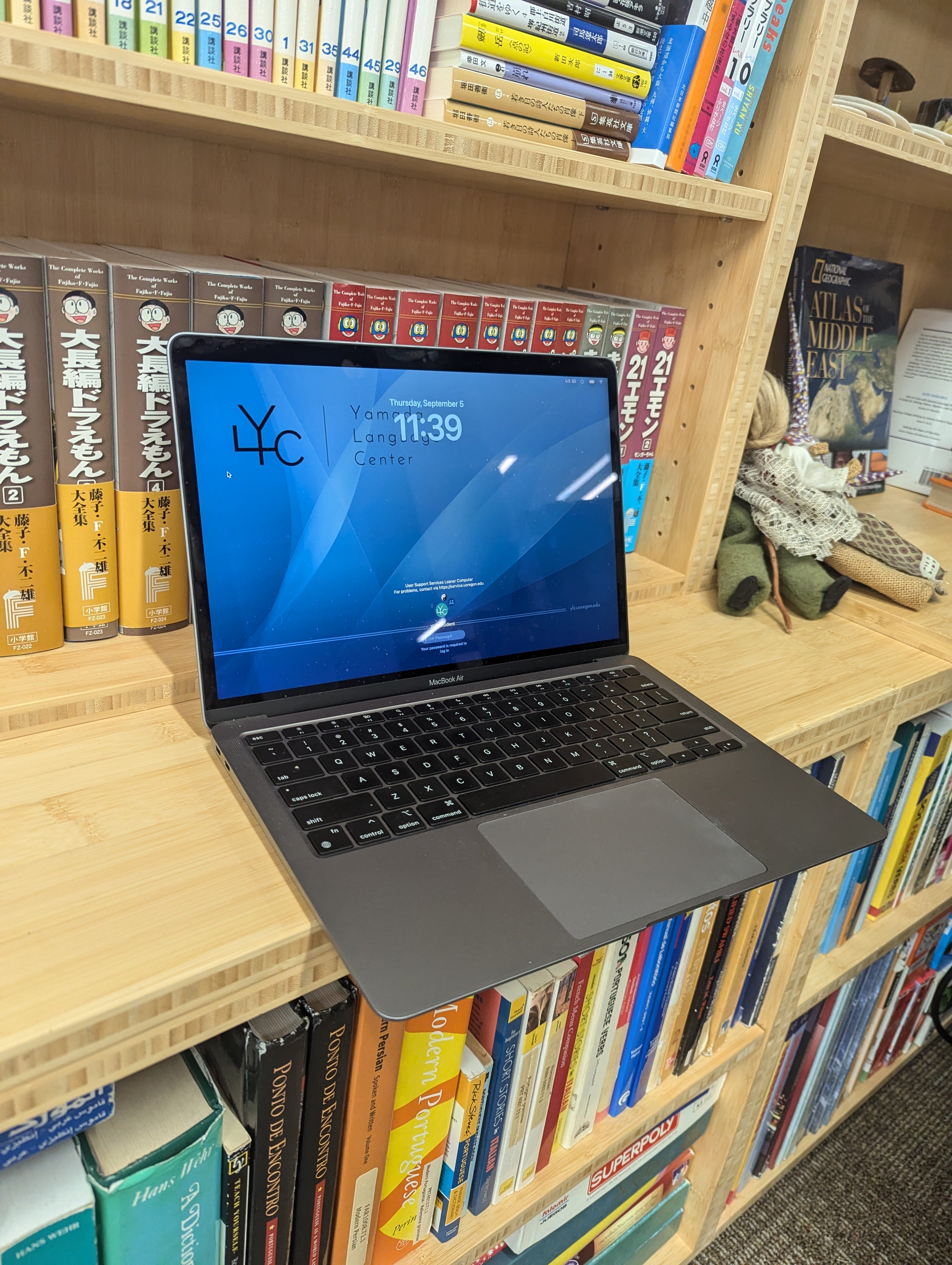 YLC_Laptop.jpg